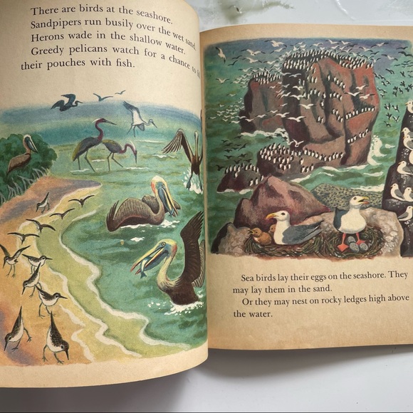 A Little Golden Book - About the Seashore - Picture 10 of 10